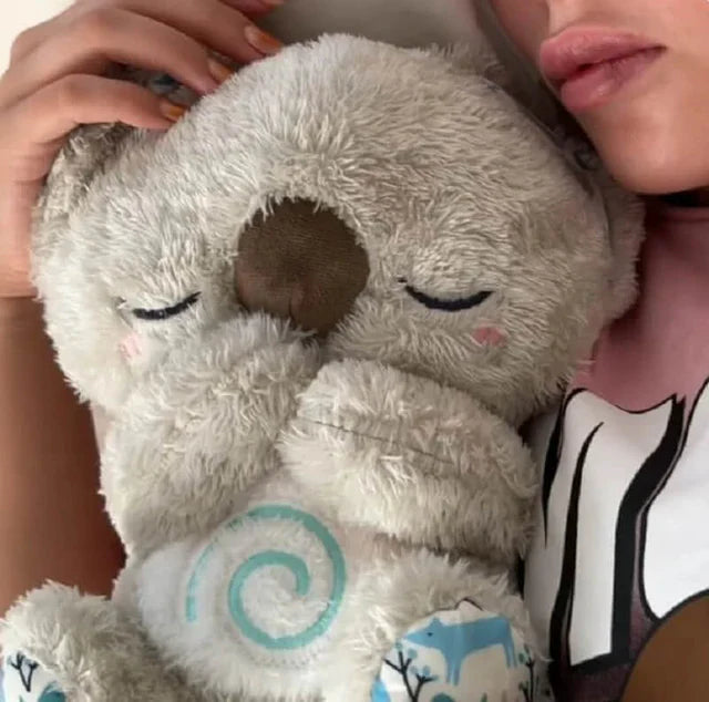 Avkopplande Koala & Stitch med Lugna Ljud